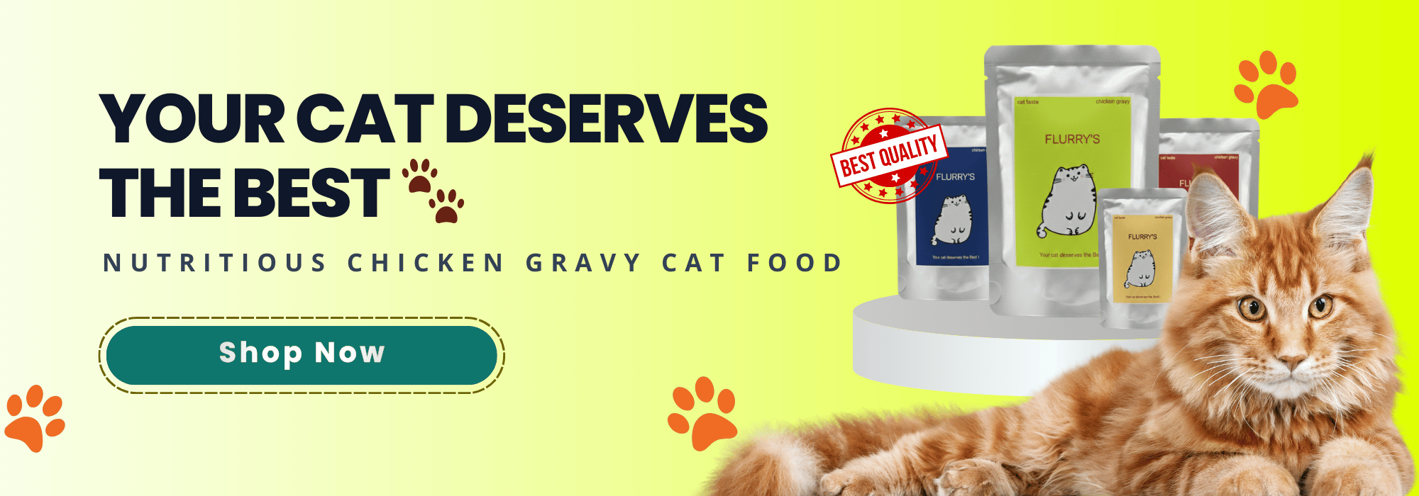 Your Cat Deserves the Best 🐾